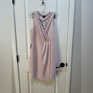 NWT Express Elegant Pink Sleeveless Dress